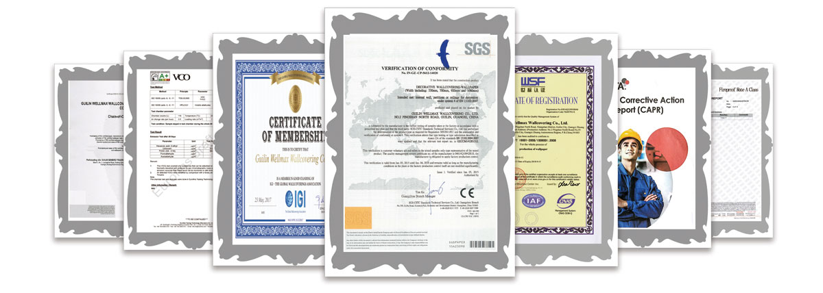 wellmax certificate